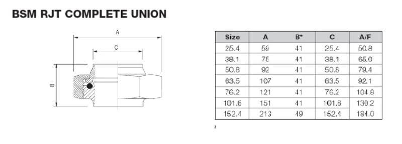 Water Cooling Liquid Data Center Sanitary Stainless Steel Liner Male Hex Nut BSM Union