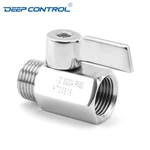 Liquid Cooling System Designs Data Center SS304 SS316 Stainless Steel Male Female BSPT NPT Thread Mini Ball Valve with SS Handle