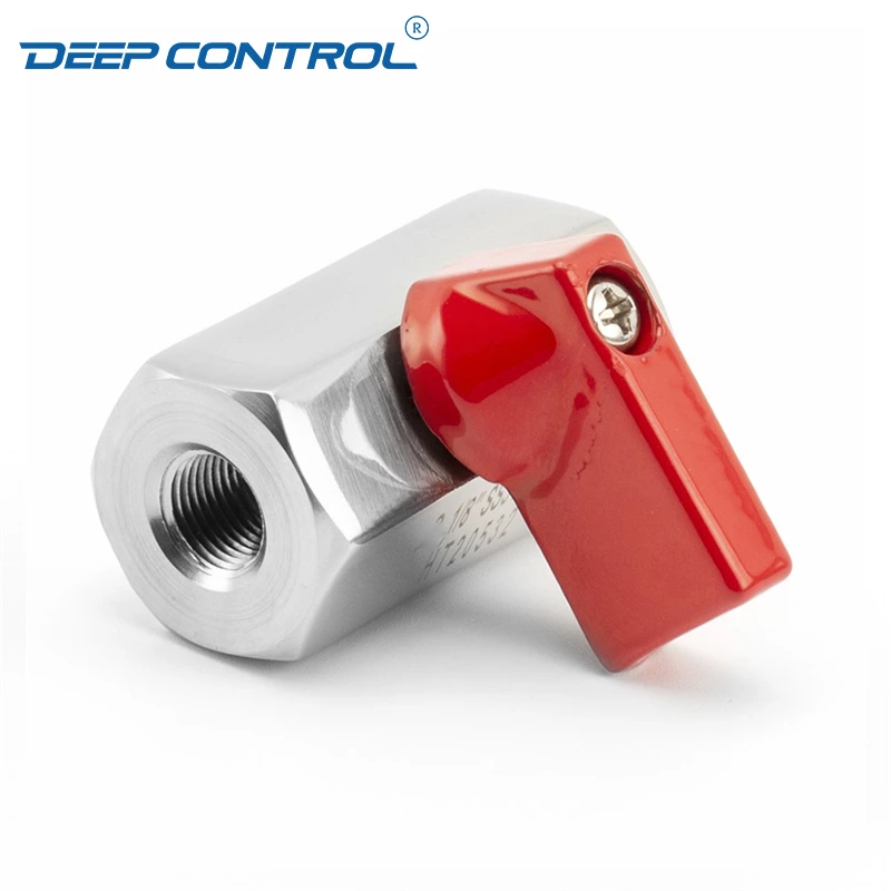 Liquid Cooling Water CDU Stainless Steel SS304 SS316 PN63 BSPT NPT Thread Female Female Thread Mini Ball Valve