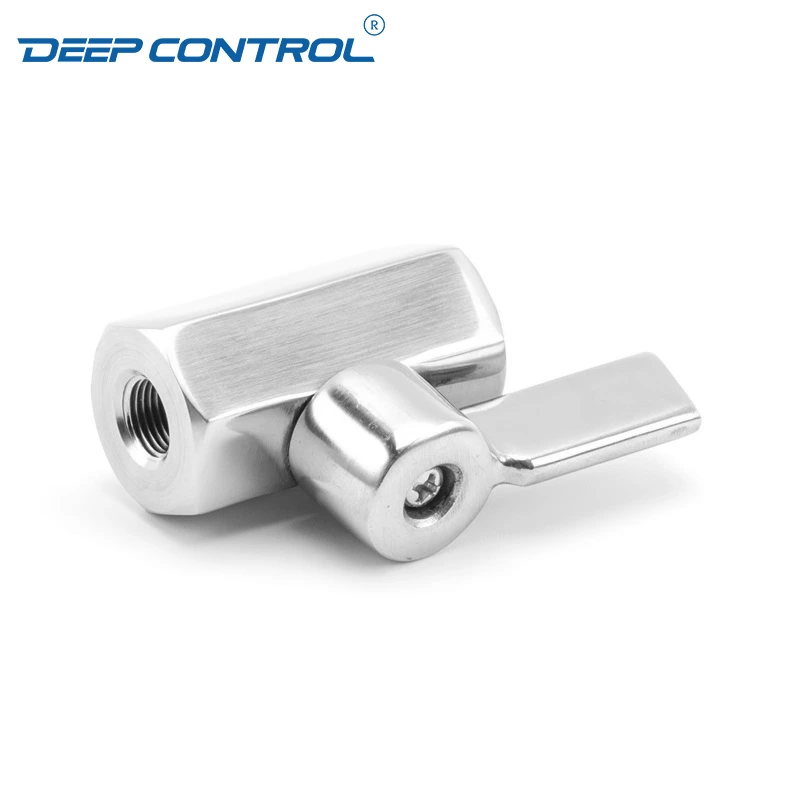 Energy Storage Liquid Cooling Water Stainless Steel SS304 SS316 NPT BSPT Female Thread Mini Ball Valve with SS Handle