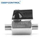 Cooling Water Energy Storage Stainless Steel SS304 SS316 NPT BSPT Male Male Thread Mini Ball Valve