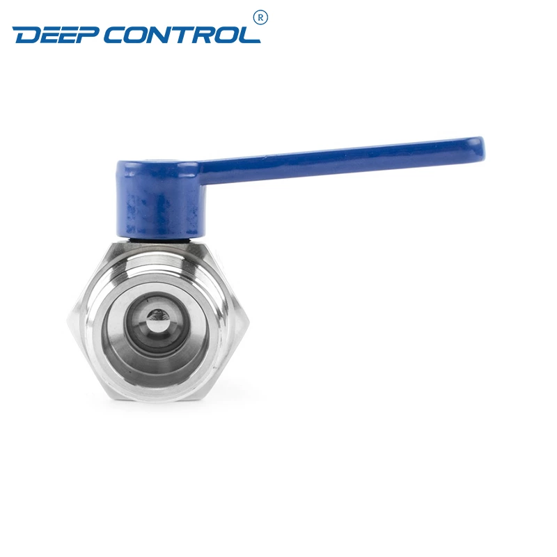 Stainless Steel Cooling Water Data Center BSPT NPT Thread Female Male Thread Mini Ball Valve with Extended Handle