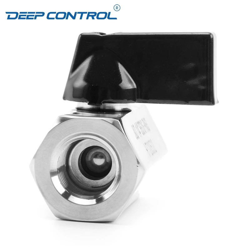Liquid Cooling Water Energy Storage Stainless Steel PN63 BSPT NPT Thread Female Female Mini Ball Valve