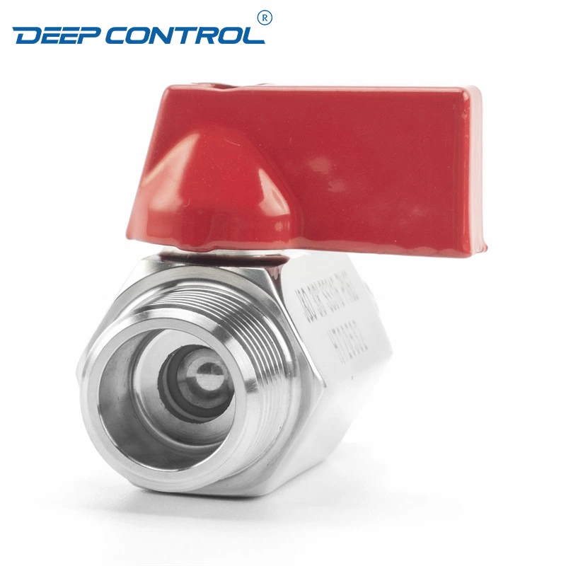 Liquid Cooling Water Prevent Leaks Stainless Steel SS304 SS316 PN63 NPT BSPT Thread Male Male Mini Ball Valve