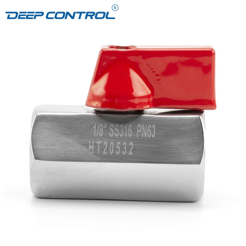 Liquid Cooling Water CDU Stainless Steel SS304 SS316 PN63 BSPT NPT Thread Female Female Thread Mini Ball Valve