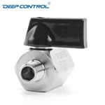 Cooling Water Energy Storage Stainless Steel SS304 SS316 NPT BSPT Male Male Thread Mini Ball Valve