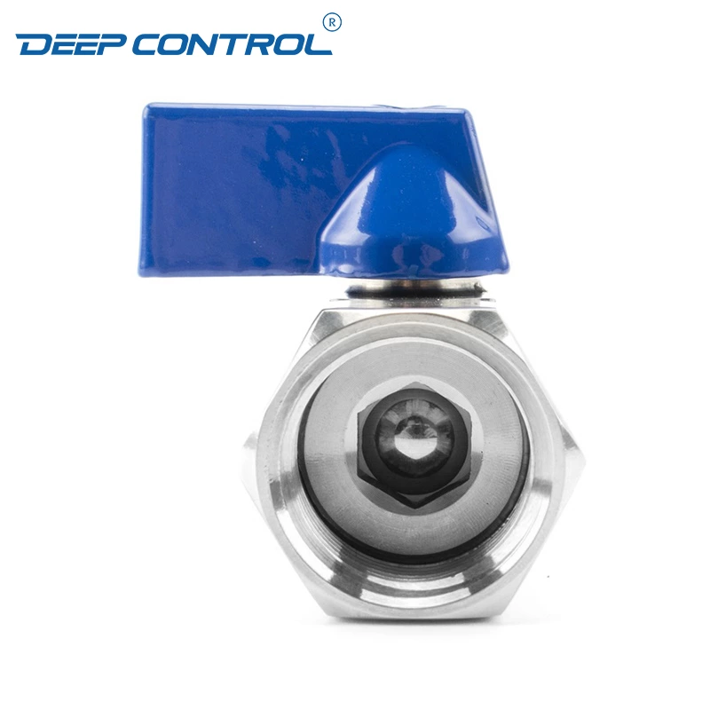 Cooling Water Data Center SS304 SS316 Stainless Steel Male Female BSPT NPT Thread Mini Ball Valve