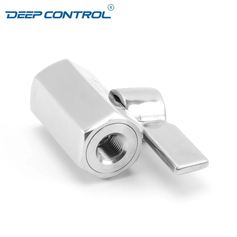 Energy Storage Liquid Cooling Water Stainless Steel SS304 SS316 NPT BSPT Female Thread Mini Ball Valve with SS Handle