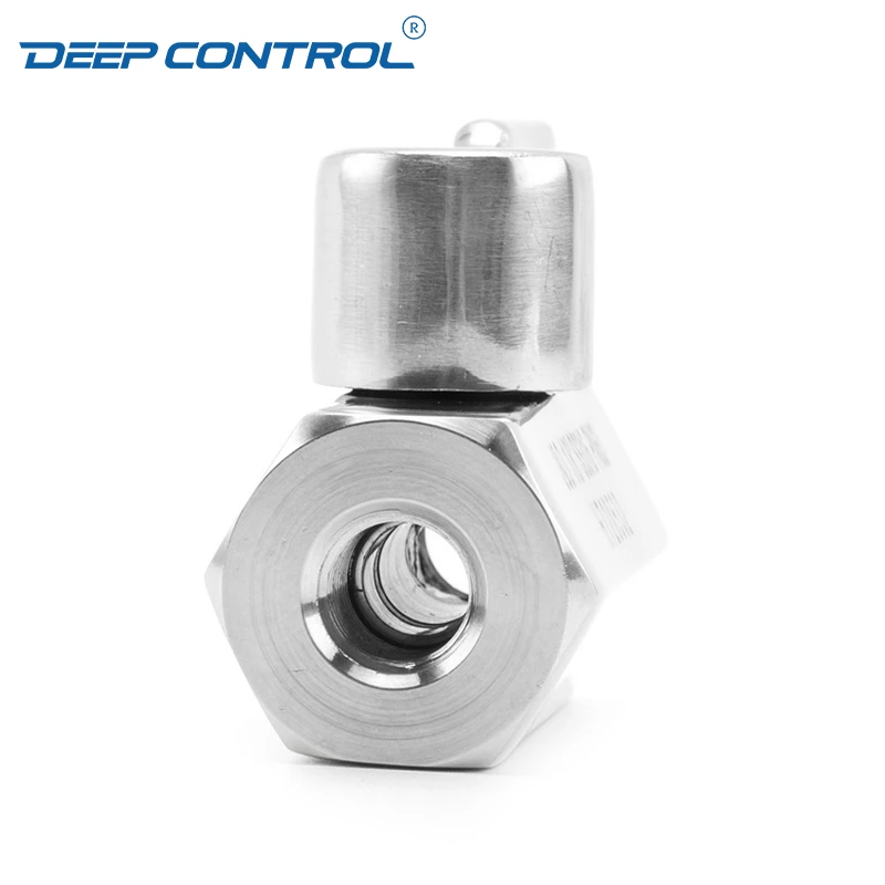 Energy Storage Liquid Cooling Water Stainless Steel SS304 SS316 NPT BSPT Female Thread Mini Ball Valve with SS Handle