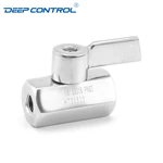 Energy Storage Liquid Cooling Water Stainless Steel SS304 SS316 NPT BSPT Female Thread Mini Ball Valve with SS Handle