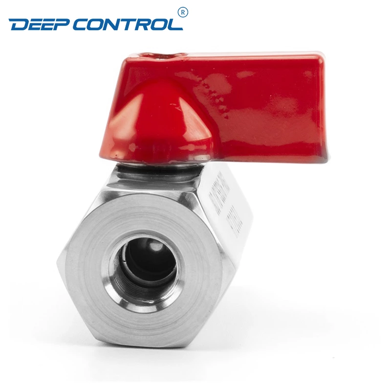 Liquid Cooling Water CDU Stainless Steel SS304 SS316 PN63 BSPT NPT Thread Female Female Thread Mini Ball Valve