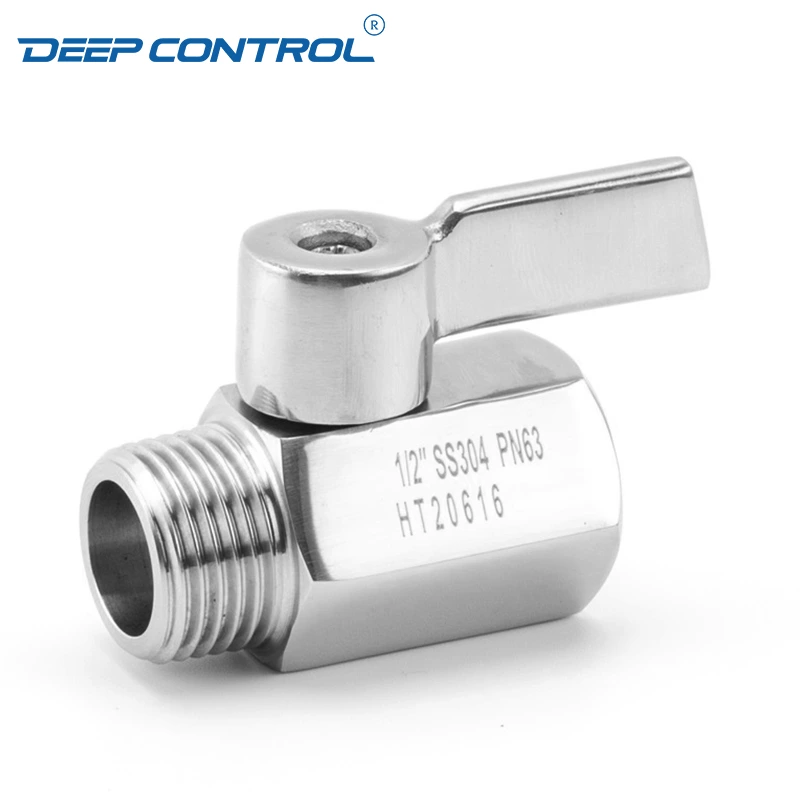 Liquid Cooling System Designs Data Center SS304 SS316 Stainless Steel Male Female BSPT NPT Thread Mini Ball Valve with SS Handle