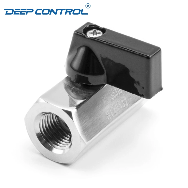 Liquid Cooling Water Energy Storage Stainless Steel PN63 BSPT NPT Thread Female Female Mini Ball Valve