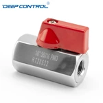 Liquid Cooling Water CDU Stainless Steel SS304 SS316 PN63 BSPT NPT Thread Female Female Thread Mini Ball Valve