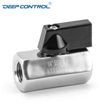 Liquid Cooling Water Energy Storage Stainless Steel PN63 BSPT NPT Thread Female Female Mini Ball Valve