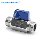 Energy Storage Liquid Cooling Water SS304 SS316 Stainless Steel PN63 BSPT Thread Male Male Mini Ball Valve