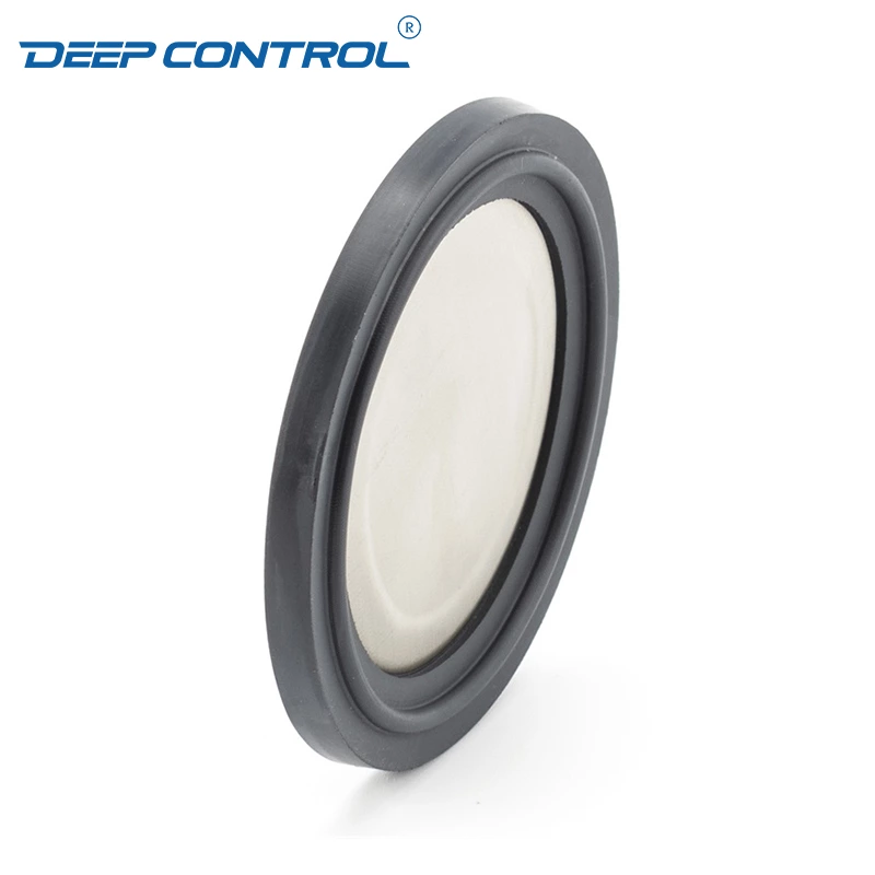 Hygienic Data Center Liquid Cooling Water Stainless Steel Clamp Ferrule EPDM Gasket With Screen